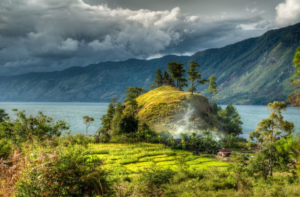 From Open Plains to Island Highlands
