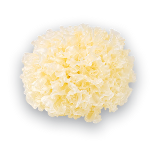 Tremella